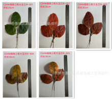 ���R�d�S�����l���＾�������m�~�zӡ�~�Gֲ������F��������m�~