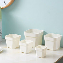 ���⻨��Ӻ����ϴ�̖�A��ĥɰС�ڷ���ɫ�~��������ֲ�����Է���