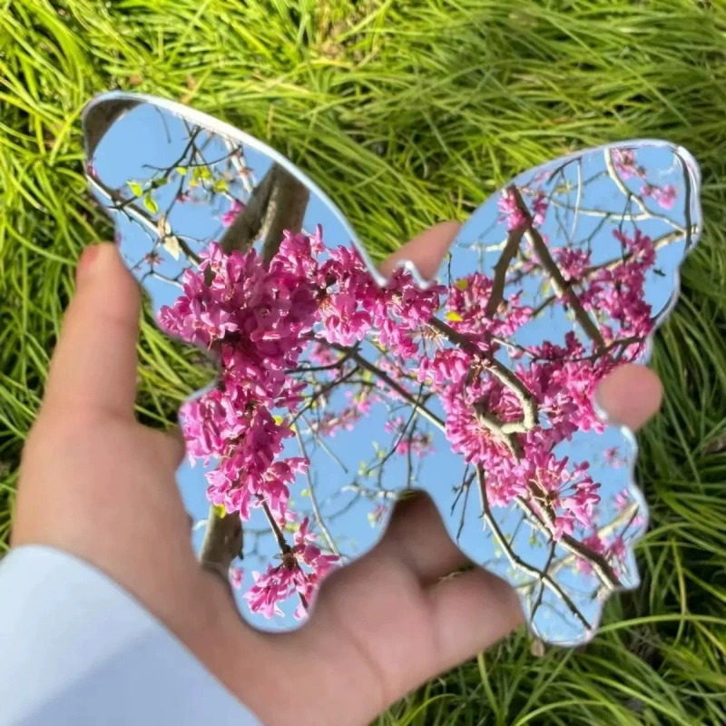 Зеркало-бабочка неправильной формы, весенний стиль для кемпинга, весенний выход, фото, сделай сам, стеклянный студенческий реквизит для фото