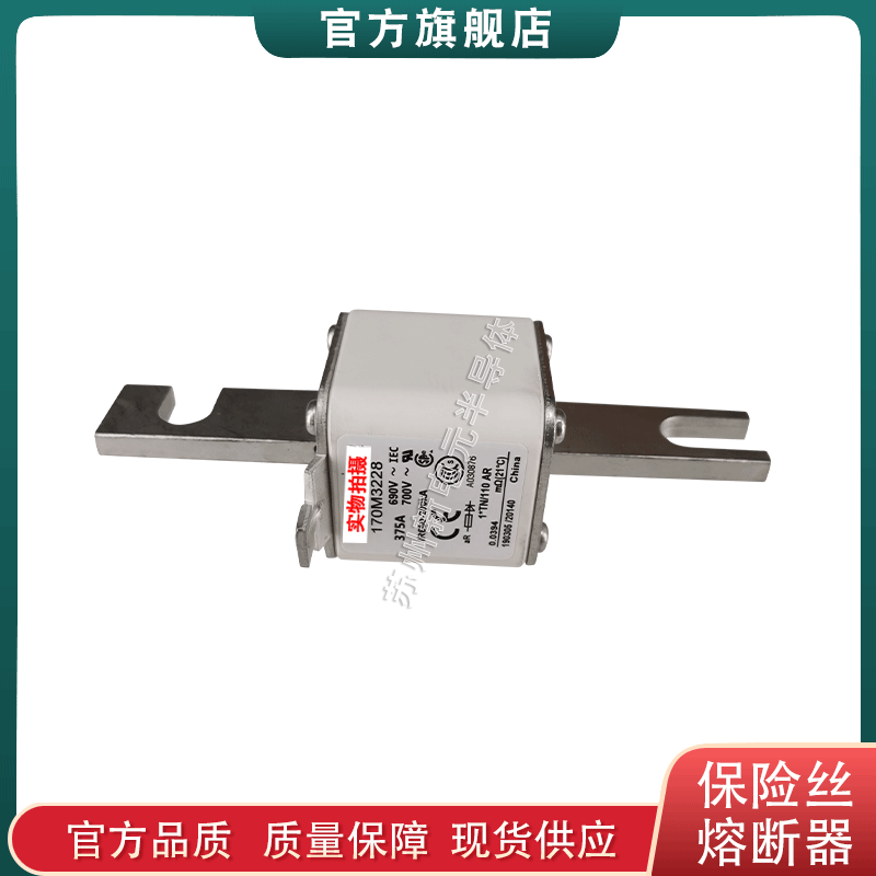 170M3212 3213 3214 3215 3216 美国巴斯曼bussmann熔断器保险丝