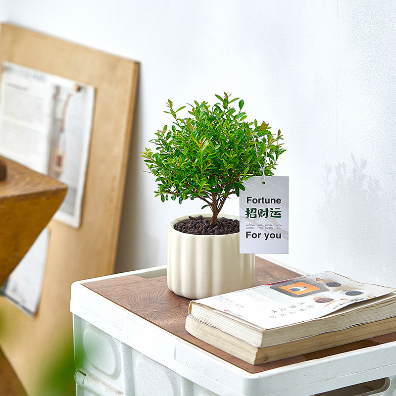 f157b28d-d107-4d38-be26-4d47f92ba82a.jpe