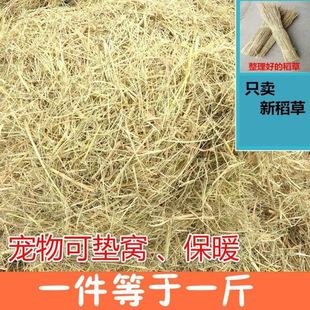 Straw Hay Bedding for Rabbits, Winter Grass Doghouse, Chicken Pet Bedding, Natural Dry Rice Straw, Wheat Straw, Grass Straw for Warmth