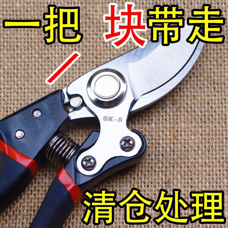 原装日本VVT进口SK5强力园艺修枝剪新款园林家用省力款花枝园艺剪