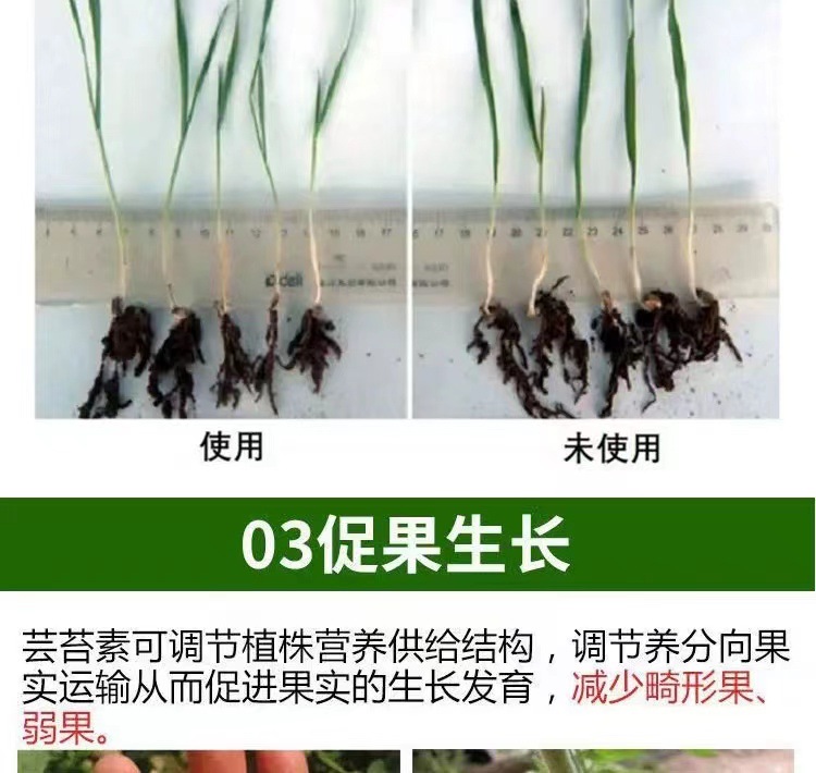 微信图片_202404251602421