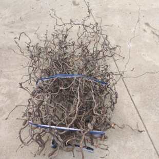 ��Ȼ������֦�廨��֦�P��֧�ֹ�diy���Ϙ�辁����L������֦�b�