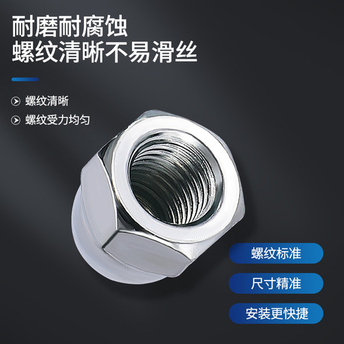 Wenzhou galvanized m3-m36 cap nut wholesale round head cap decorative integral one cap nut cap nut