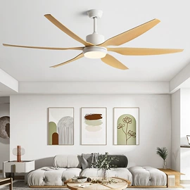 风扇灯;灯柱灯杆;吊灯