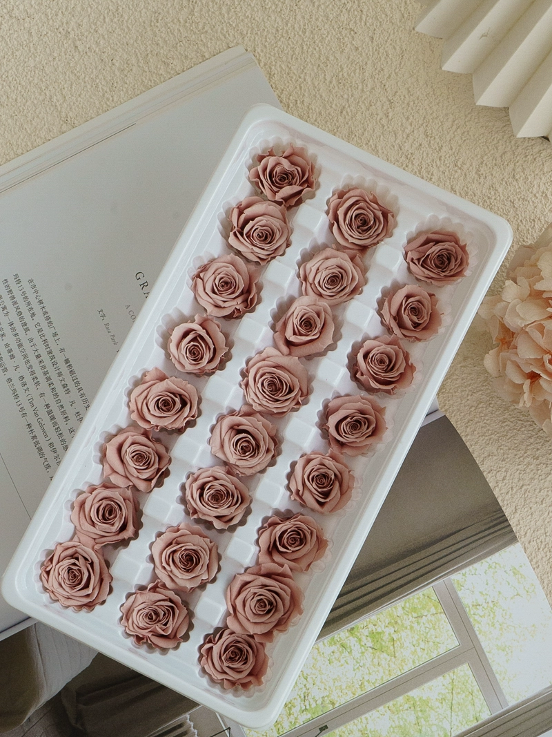 Eternal Rose head A -Class/B -Class Cabca Shengsheng Flower Handmade DIY Teacher's Day Gift Materials
