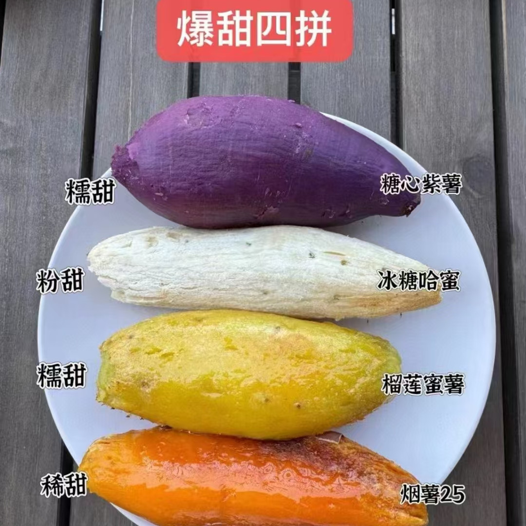 【蒙阴四色蜜薯组合】烟薯+紫薯+白蜜薯+榴莲蜜薯代餐粗粮5斤新鲜