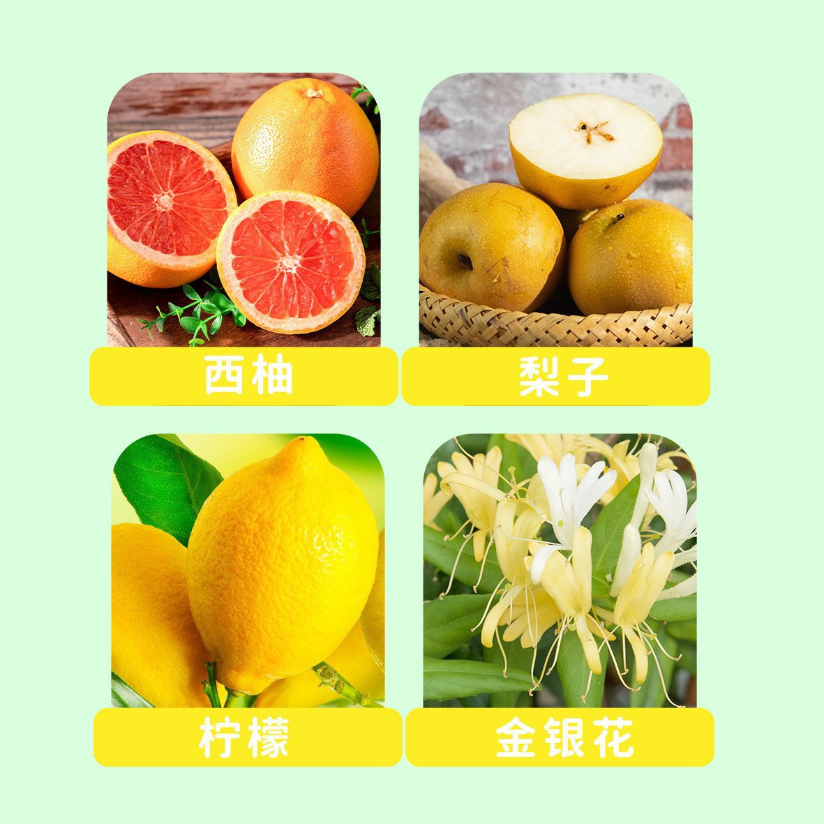 Honeysuckle Pomelo Juice Drink 500ml Bottled Sweet Tangy Fruit Vegetable Blend specifications