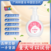 【中国总代】德露宝 儿童洗手液（泡沫型）300mL