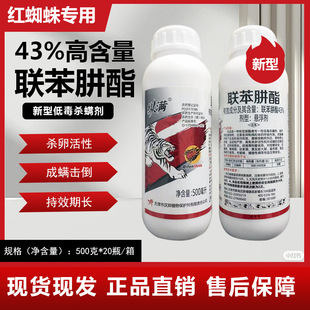 �v�M43%�������Ҹ������٘�t֩�뚢�\�������rș��Ч���\