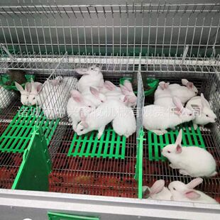 ĸ�øC�|�W �û\�|�� ����©�S�� �B�������ϾW