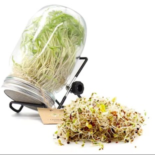 Cross-border source 32oz wide-mouth stainless steel Germination glass mason jar germination seed filter screen support