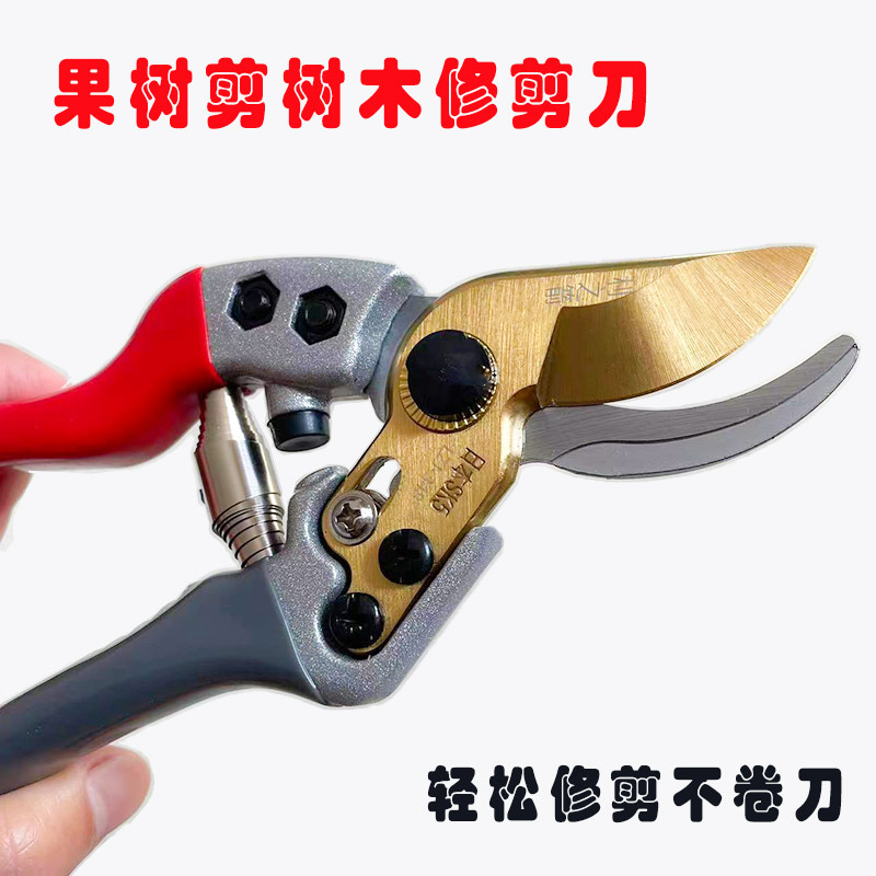 SK5果枝剪花剪园艺剪 修剪树枝剪刀花枝剪子粗枝省力厂家批发