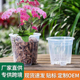 树脂青山盆透明控根透气龟背竹透明花盆蝴蝶兰花专用花盆加厚耐用