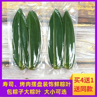 Fresh Bamboo Leaves for Zongzi, Decorative Small Leaves for Commercial Use, Large Fresh Palm Leaves for Wrapping Zongzi