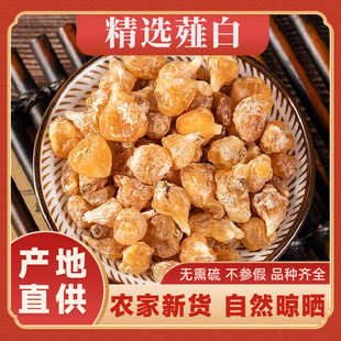 ޯ����ș�ľ��x����ޯ���^��؛Ұ��ɽ����ޯ�״��׌���֦���V����