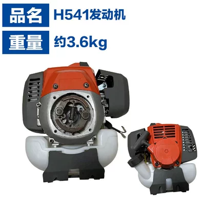 Otbiçən başlıqları — GX35 lawn mower power - 541-engine-power-color-random
