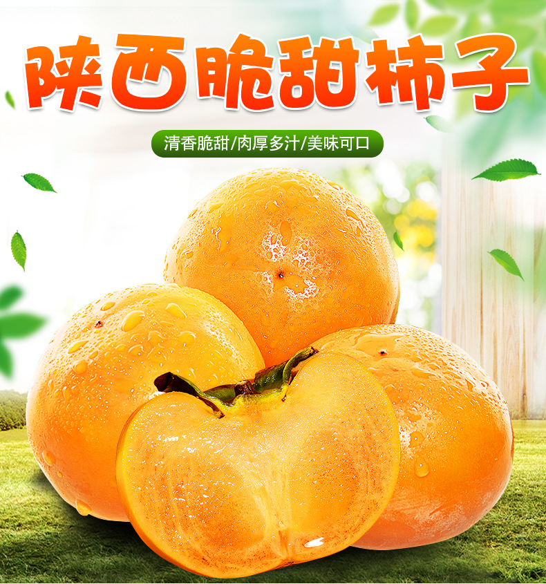 陕西脆甜柿子_01