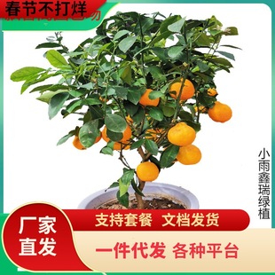 ��ۘ䎧������҃ȿ͏d�����^��ֲ����٘��辰�^���_�I�ͶY���