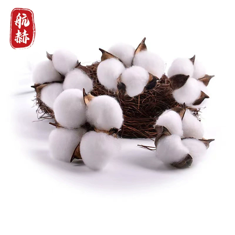 Трансграничная оптовая продажа имитация цветов хлопок натуральные сушеные цветы свадебные украшения для дома фото декоративный цветок одноголовый капок