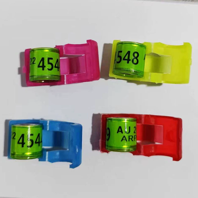 Pigeon foot ring foot ring Pigeon ring foot ring foot ring sign guard ring opening plastic sleeve ring