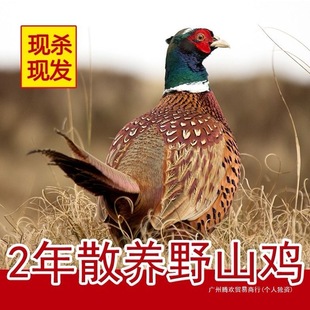 ����ɽ�u���r�߲�ɽ�u�������ĸ�u���u�u�ذ��b�GɫʳƷ����ȫ��