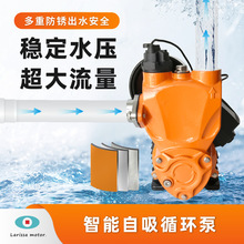 跨境专供Self-Priming Pump一件代发家用小型自来水增压泵自吸泵