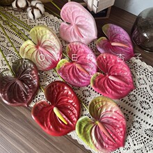 INS�L�����ָмt�ư��ƾG��3D��ӡܛ�b�廨�zӰ����С���Q��ɫ��