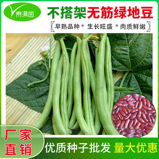 �o��G�ض��N�ӟo���ļ����N���߲˷N�ݴ��＾��@�r��ܿ��