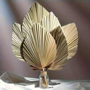 �S�����l��Ȼ�Ꭷ�����ؙ��~���s�Ӽ��b羳�r�������ׁ��L