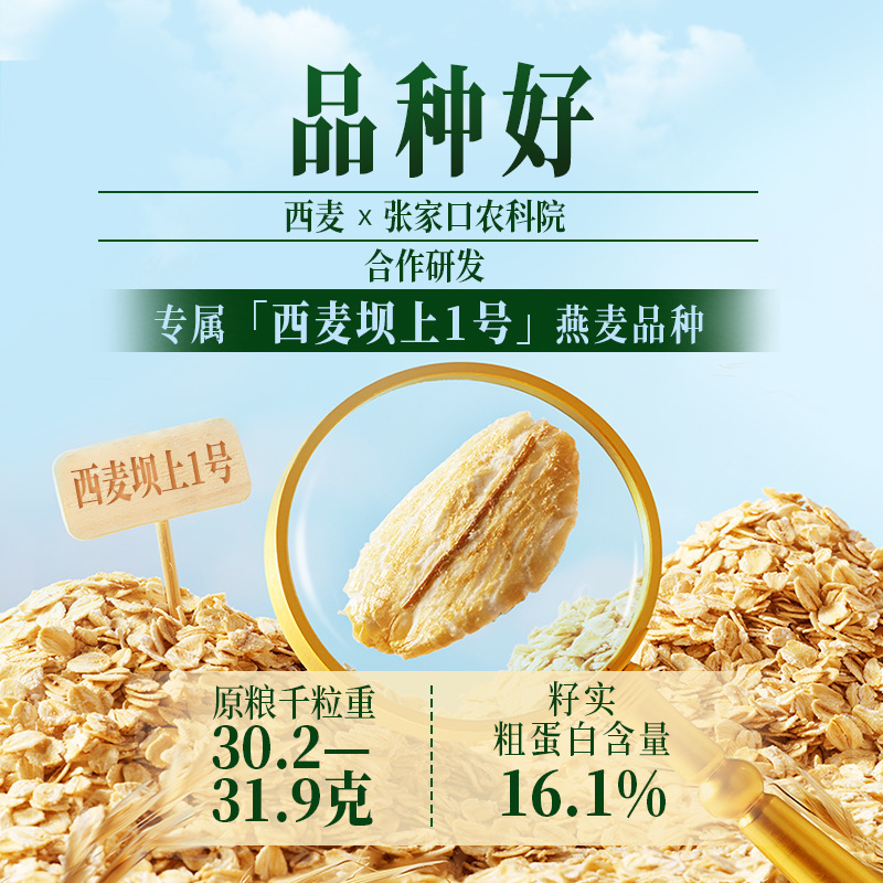 【西麦有机胚芽燕麦片】桶装高蛋白质添加蔗糖冲饮早餐燕麦片|undefined