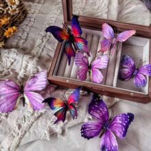 �W�t��������ɸ��b�l���YƷ������b��赸��Ь�����