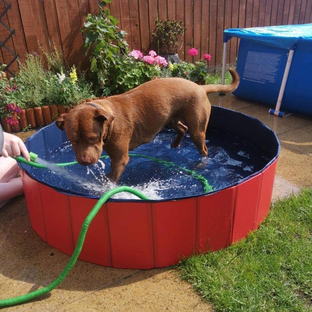 O1CN01wX9gE51hOKlmB0yGO_!!2211