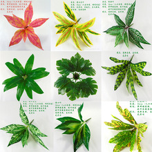 ֲپGֲbֲƺٻ~ϻ