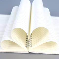 A5PP磨砂線圈本筆記本大學生簡約A4記事空白線圈本橫線b5網格本