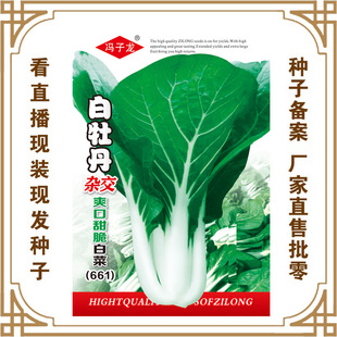 �T�����N�繫˾ֱ�������߲˷N�Ӱ�ĵ���s��ˬ�����ײˣ�661��