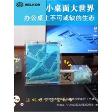 生态箱城堡巢蚂蚁蚂蚁窝土养蚂蚁城堡巢穴蚁窝家园大号蚂蚁蚂蚁