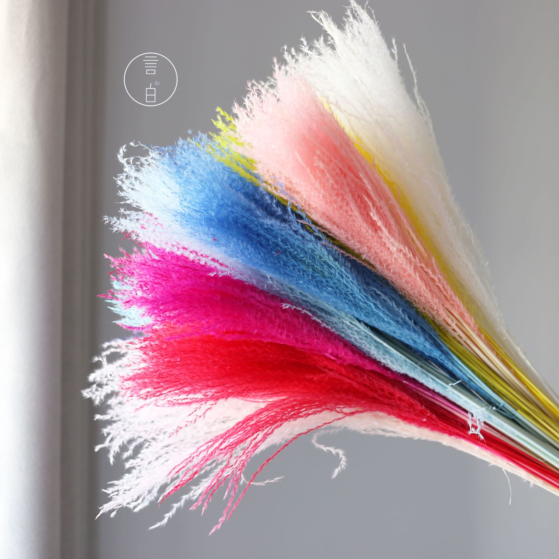 Dust-free dry flower bouquet, Pampas grass reed bulrush dry flowers, Amazon hot-selling wedding and celebration flower materials, factory wholesale