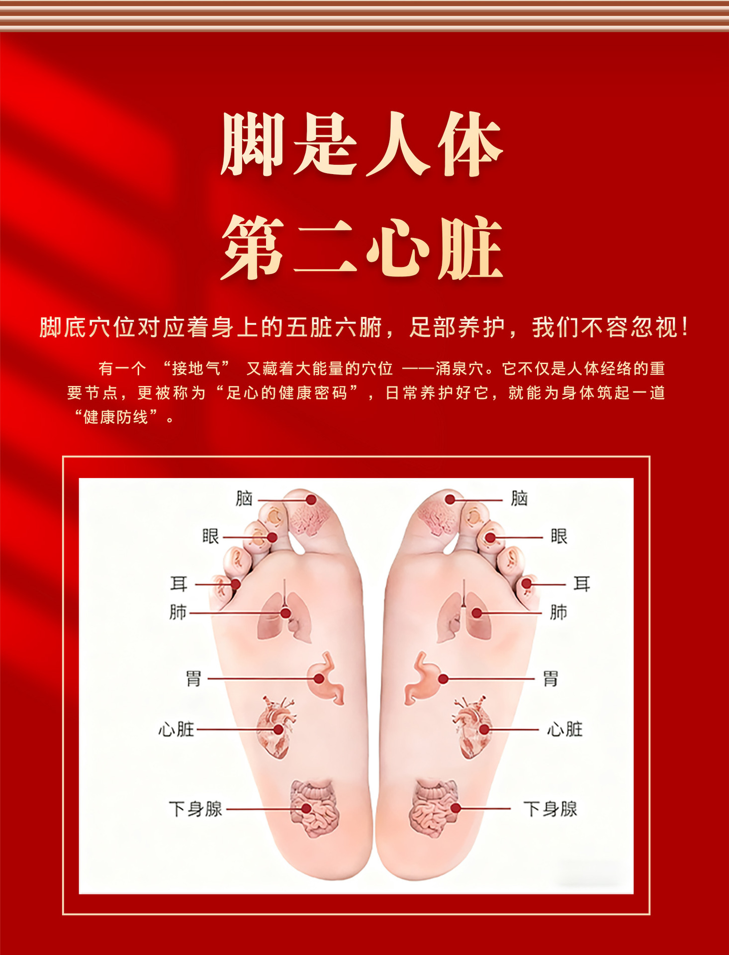 Old Beijing Mugwort Foot Patches 50 Pcs Adhesive Foot Therapy Patches for Nighttime Foot Care in use