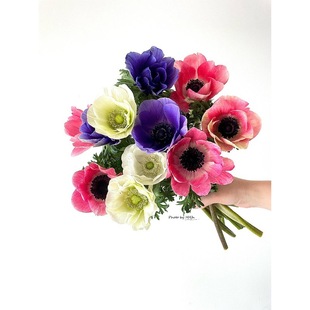 Pink Anemone Flowers, Home Water-Raised Flower Arrangements, Niche Flower Materials, Autumn Peonies, Anemone Flowers, Fresh Cut Flowers, Home Office