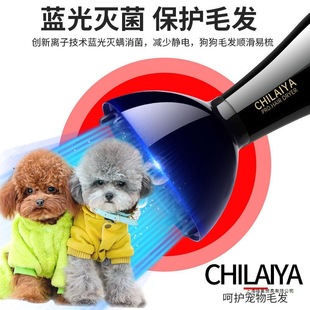 Pet Hair Dryer High Power Medium and Small Dog Dog Bathing Hair Blowing Artifact Rabbit Cat Hair Blowing Machine Special No