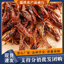 香酥蚂蚱油炸即食食用昆虫烧烤椒盐干炸蚱蜢零食小吃美食昆虫美食