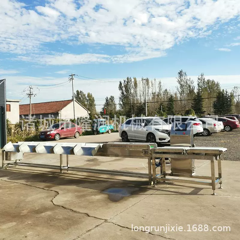 厂家供应皮带式带鱼鲅鱼分选机 活鱼全自动动态检重秤多级分选机