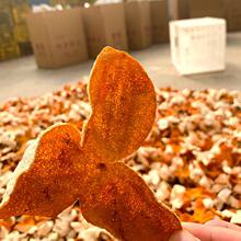 ����Ƥ��ș�ļt��Ƥ�Ƥ���Ͻ����خa��ɵ�����Ƥ����ˮ�ݲ�