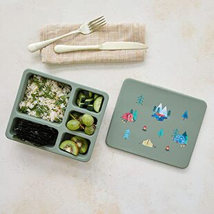 Silicone Lunch Box Four-compartment Storage Box Microwave Heating Student Lunch Box Food Grade Bento Box