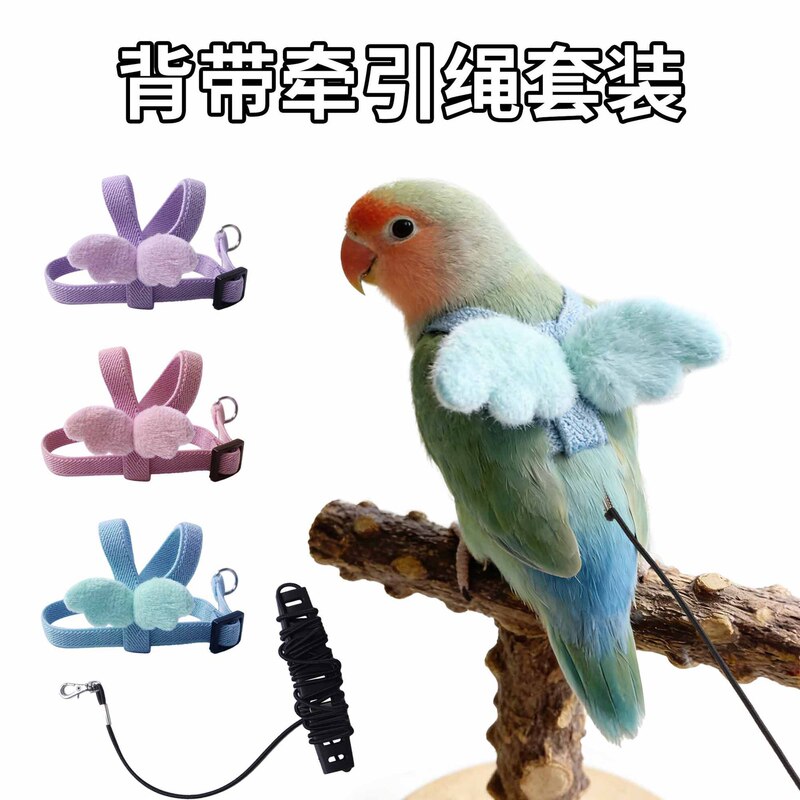 Parrot Leash for Outdoor Flying, Ultra-Light Bird Harness That Doesn'T Hurt the Feet, Suitable for Cockatiels and Lovebirds Parrot Leash for Outdoor Flying, Ultra-Light Bird Harness That Doesn'T Hurt the Feet, Suitable for Cockatiels and Lovebirds