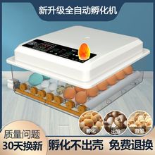 全自动智能孵化机孵鹅鸽子芦丁的孵蛋器孵小鸡鸭山鸡的机器包邮