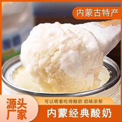 内モンゴルミルクオールドヨーグルト缶詰 410 グラム低温風味発酵乳ヨーグルト飲料乳製品卸売